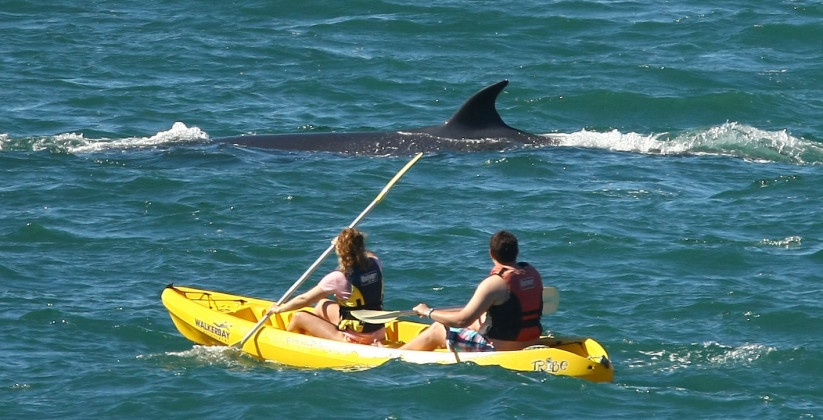 Sea kayaking