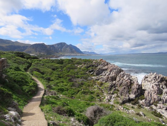 hermanus-cliff-path-walk